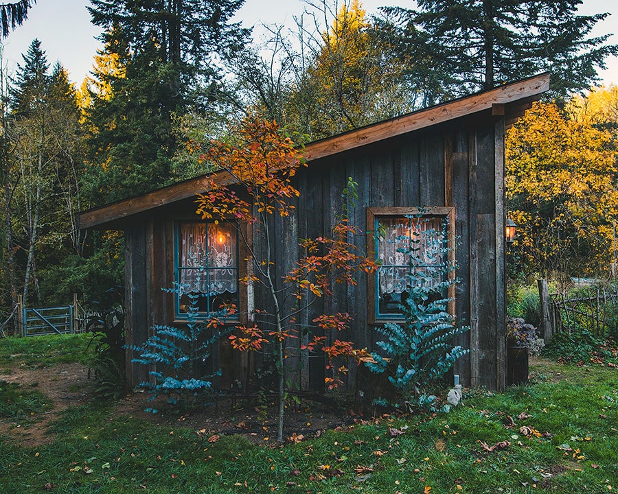 cozy shed cabin