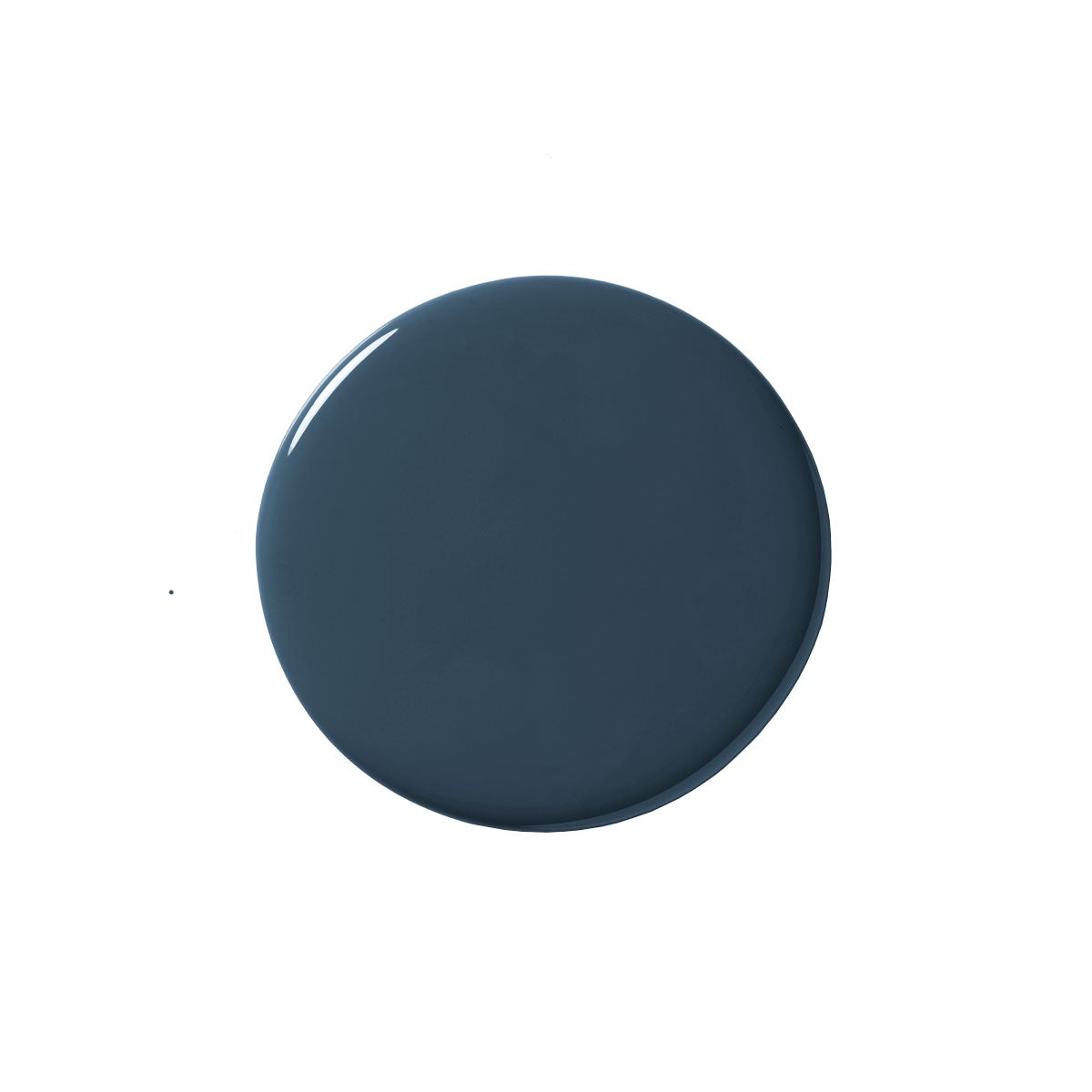 Gray Blue Paint Blob by Benjamin Moore