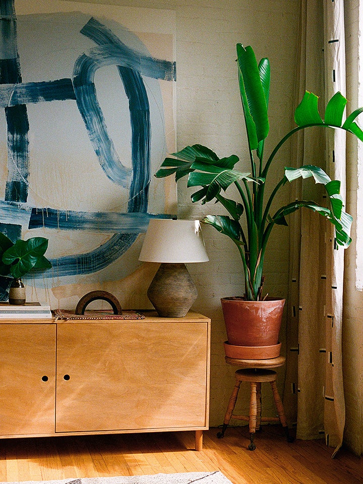 credenza with large plant