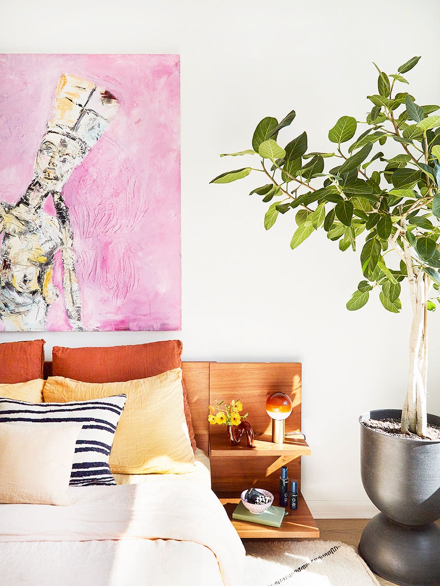 We Keep Spotting This Indoor Tree Everywhere—And We Mean Everywhere