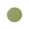 Olive green paint swatch