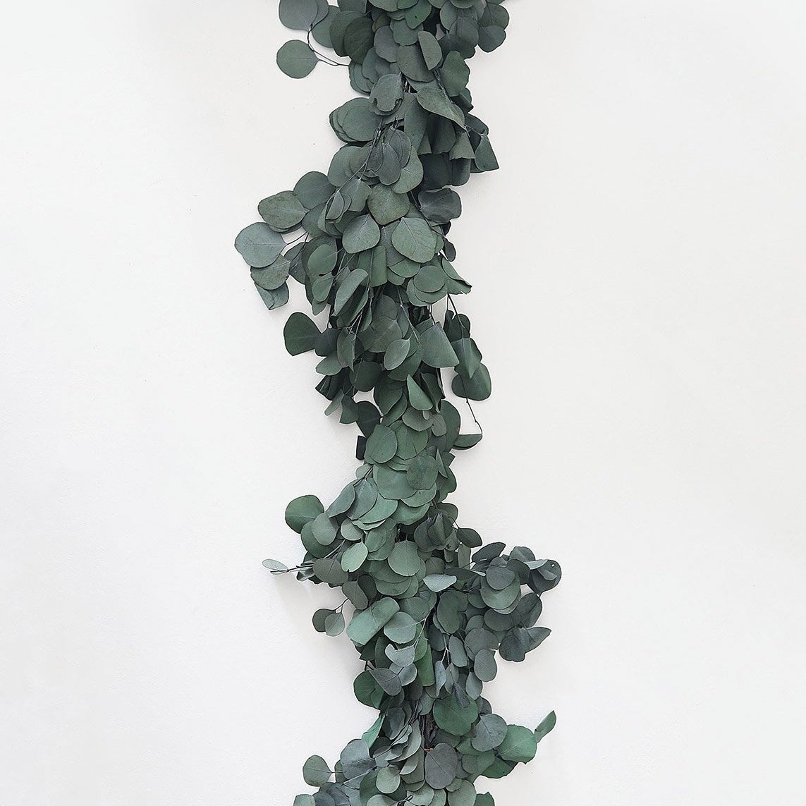 The Best Christmas Garland Option: Afloral Green Preserved Silver Dollar Eucalyptus Garland