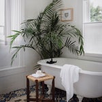 tub with plant