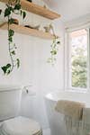 toilet with plant shelf above