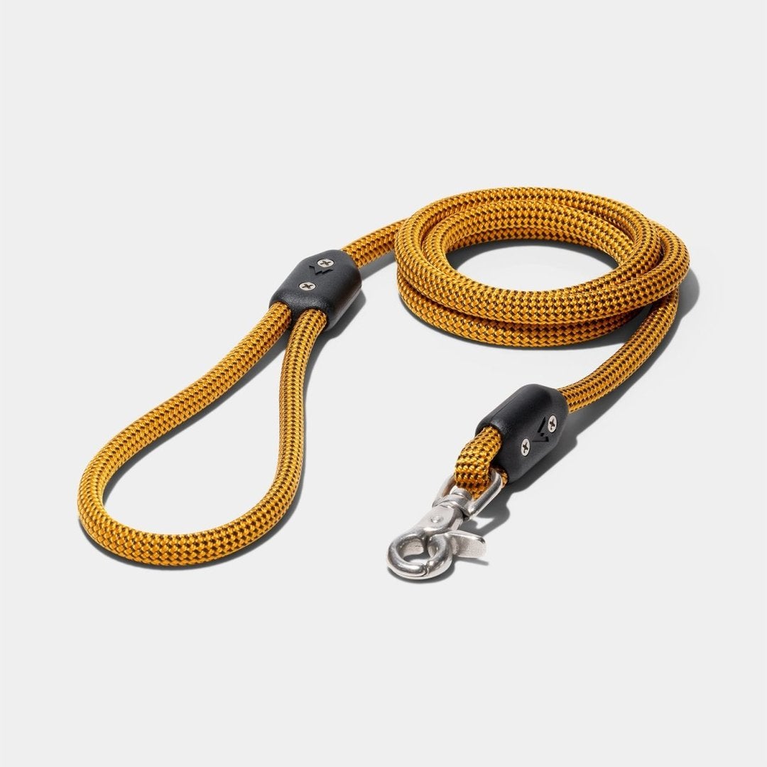 yellow rope dog leash