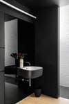 black bathroom sink