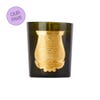 Our-Faves-Trudon