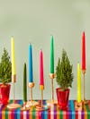 Mini Cypress trees and taper candles on a rainbow tablecloth.
