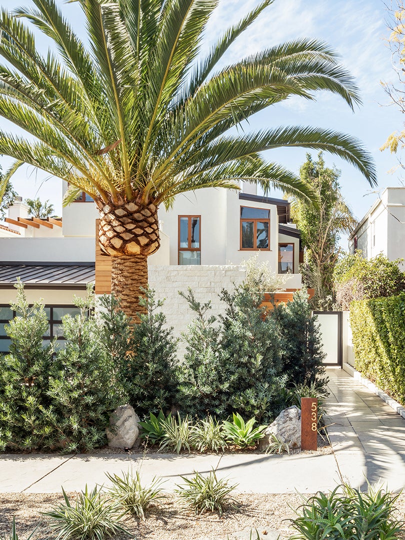 white home exterior with palm trees