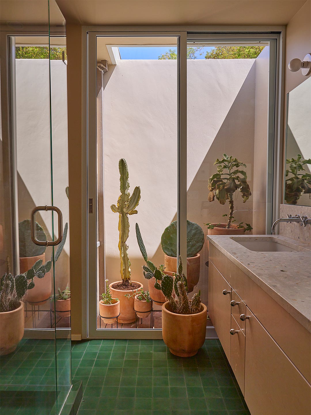 bathroom with sliding door and cacti