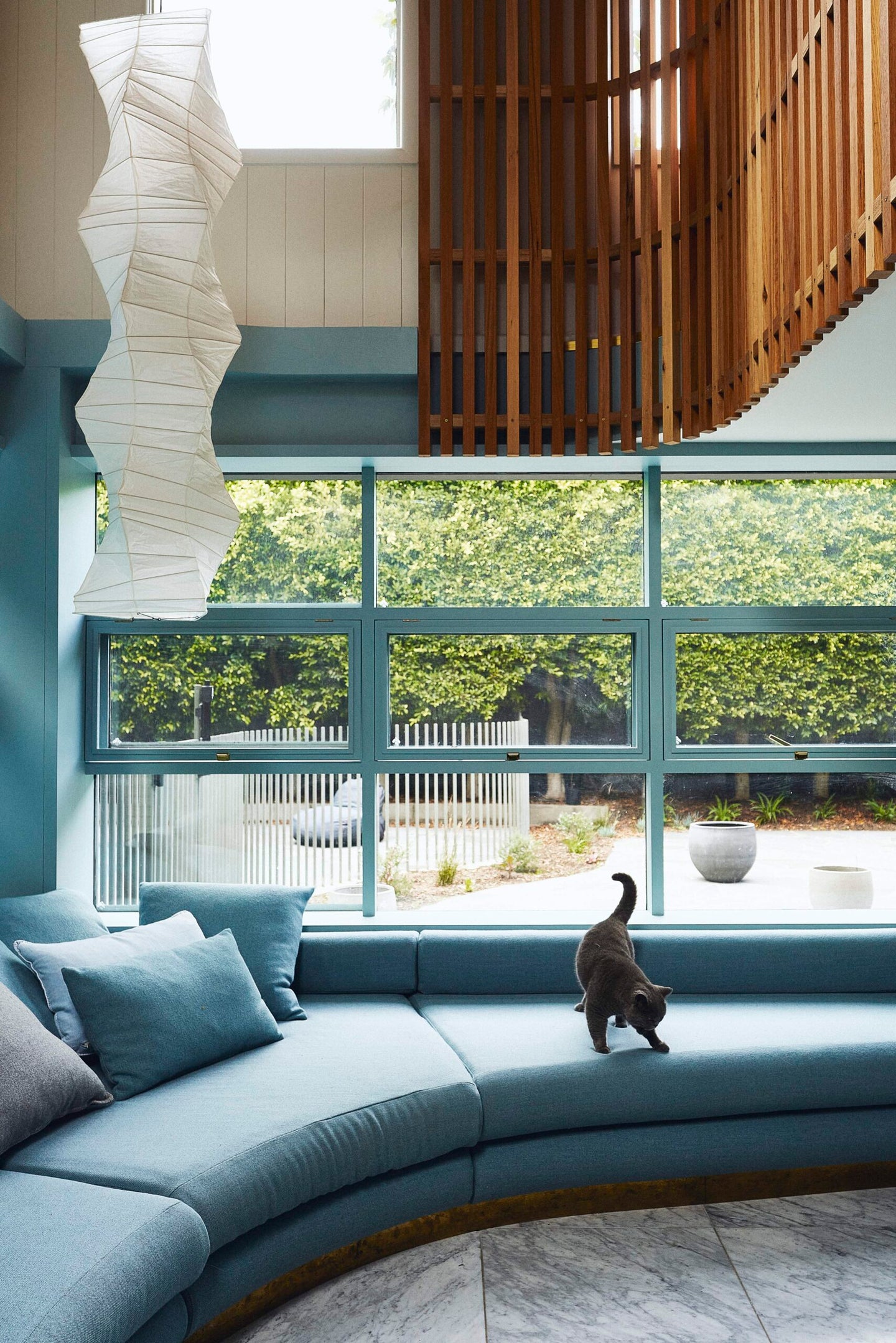 blue curved sofa with cat