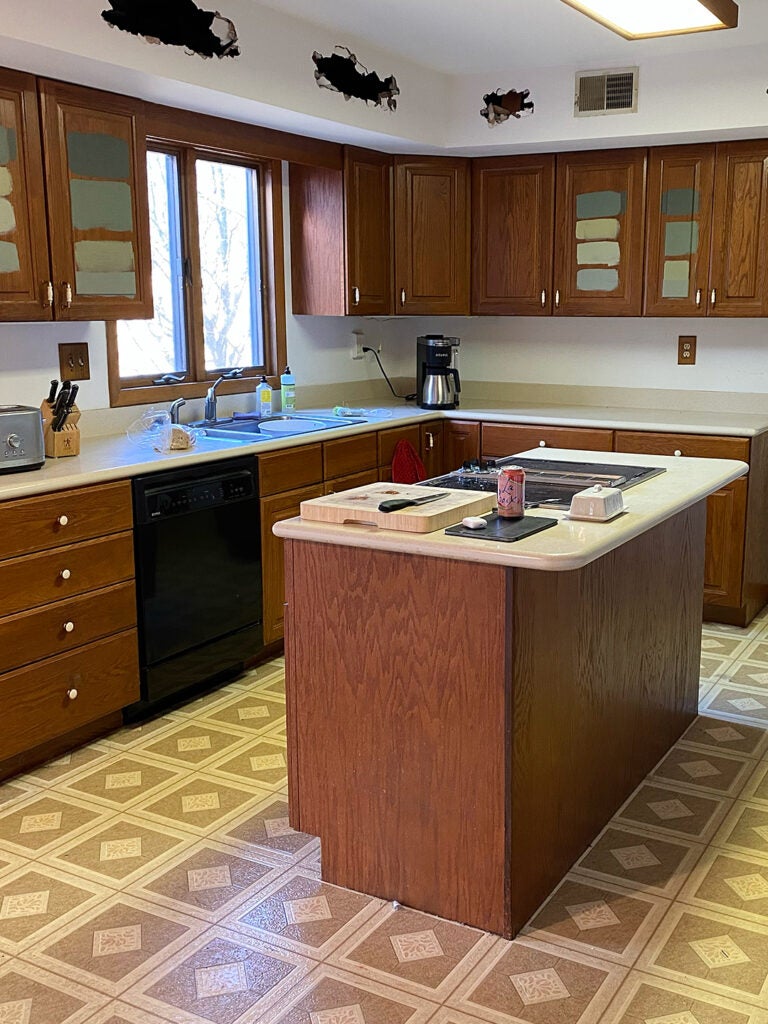 One Shade of Green and Three Types of IKEA Cabinets Transformed This 1980s Kitchen