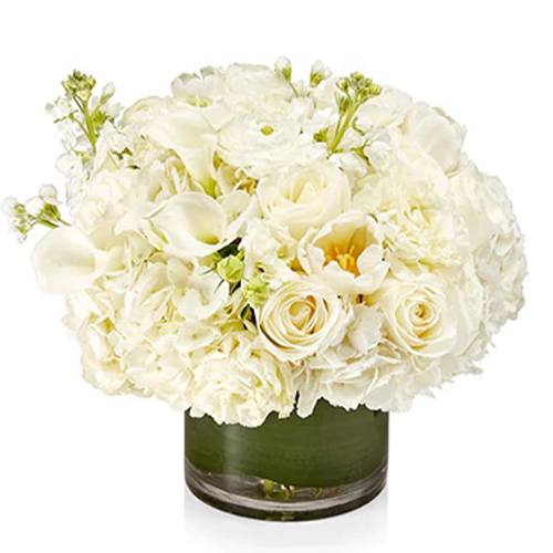 H.Bloom White Flowers in Glass Vase