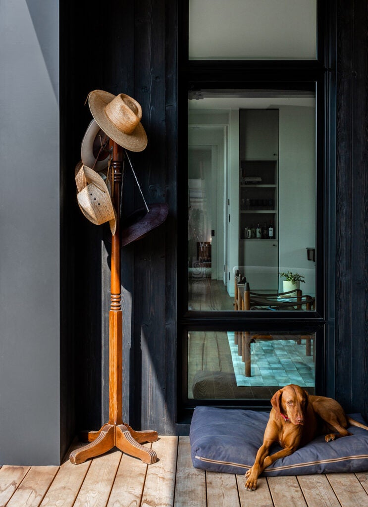 coat hanger with hats and a dog lounging nearby