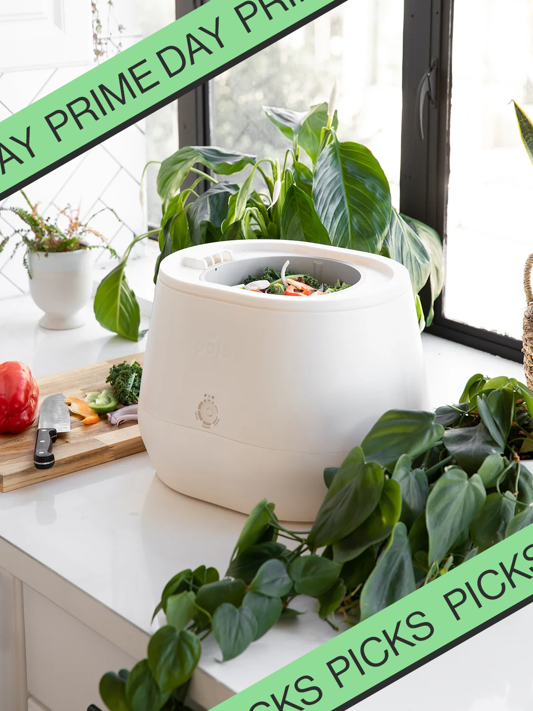 pela lomi compost maker with Prime Day banner
