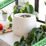 pela lomi compost maker with Prime Day banner