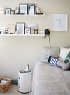 neutral day bed with floating shelves of artwork above