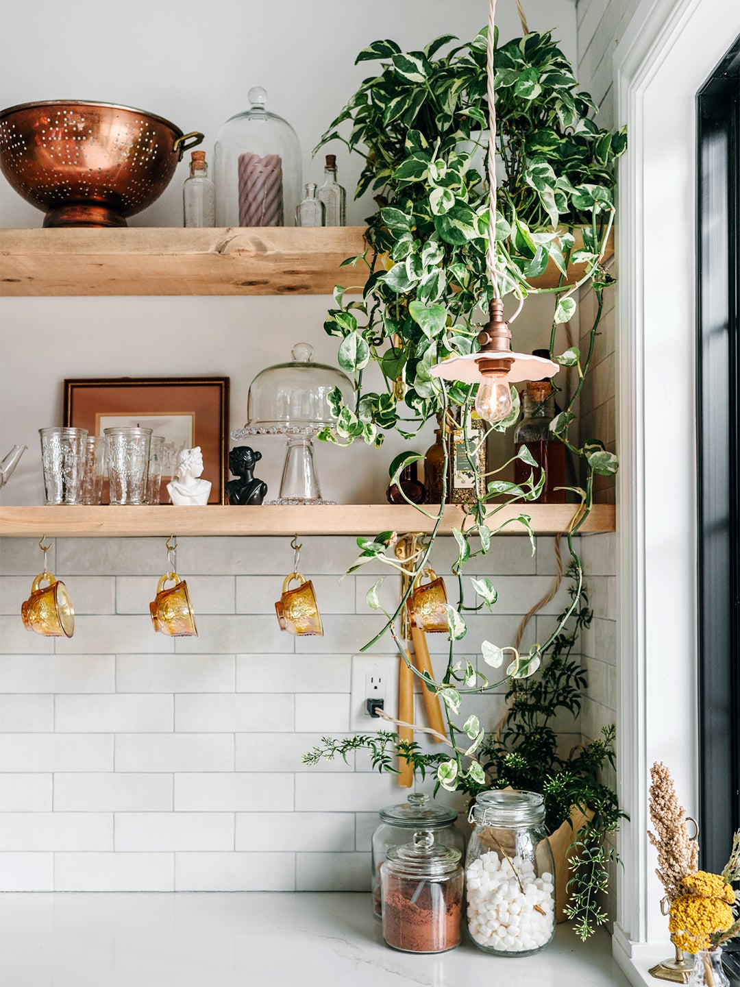 plant hanging from open shelf