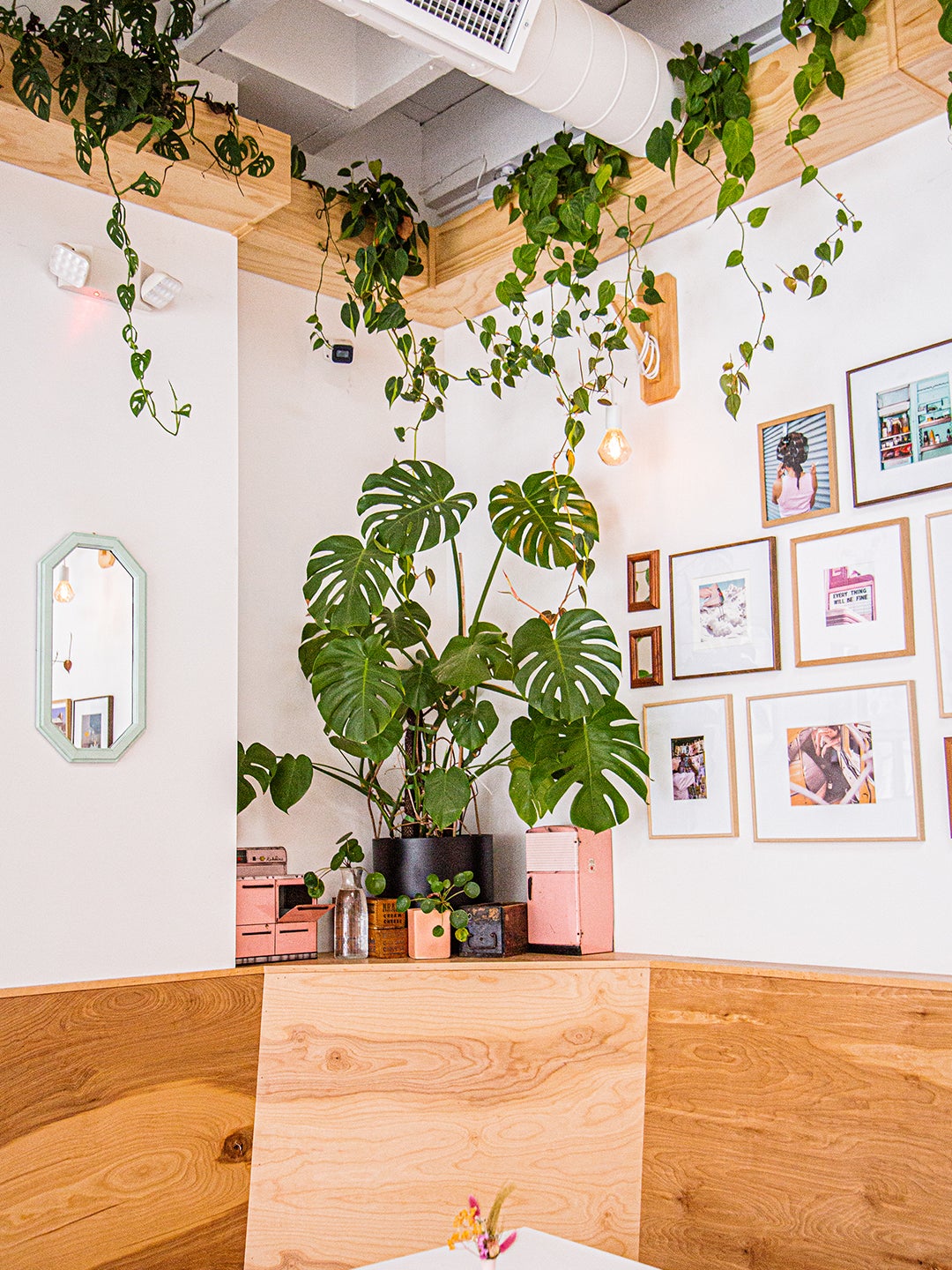 Ceiling Planter Boxes Give This Space All the Drama With Little Greenery Upkeep