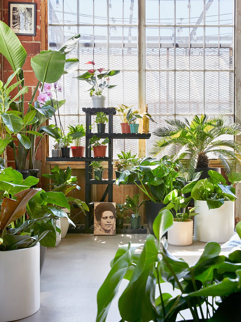 loft space filled with plants