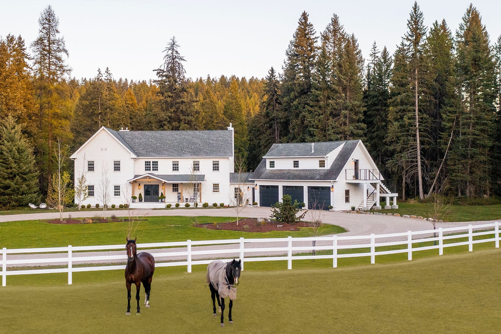 horses in front of house