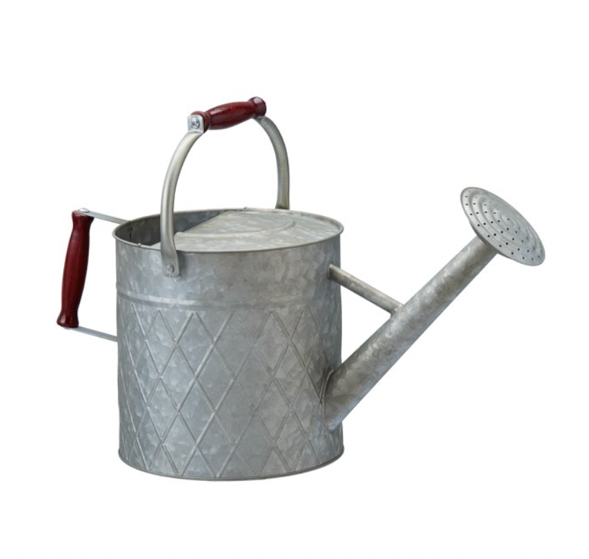 metal watering can