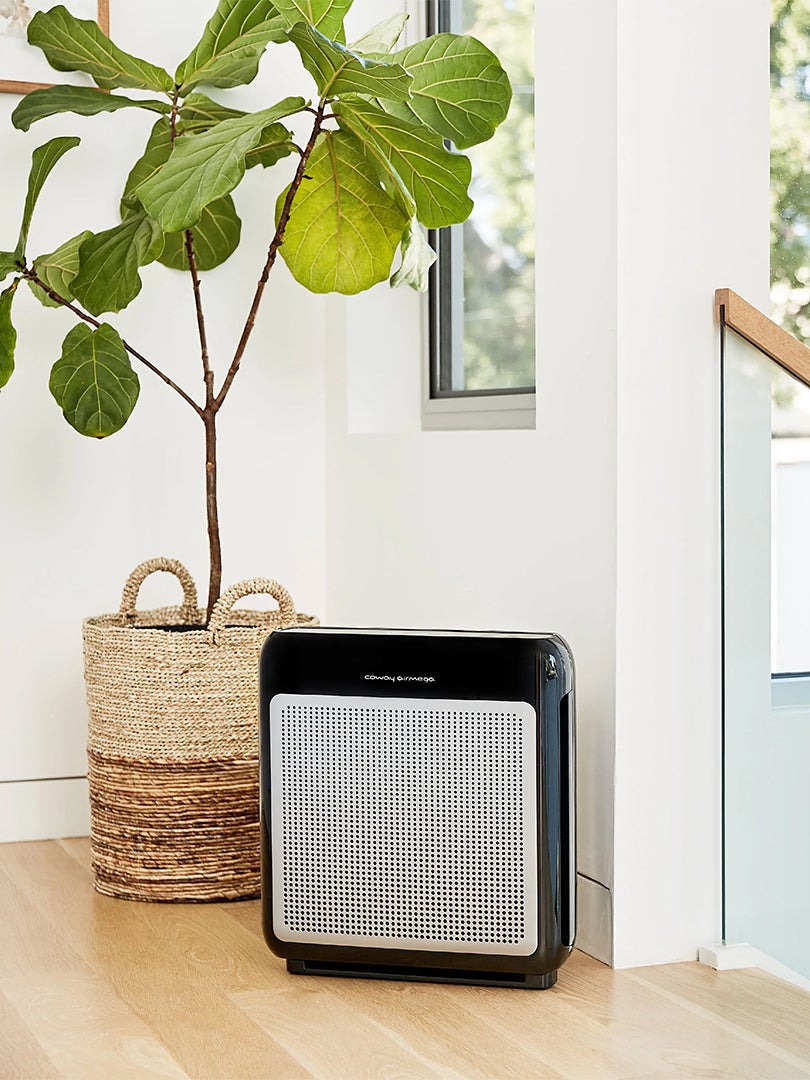 Coway Air Purifier next to fig tree in woven basket