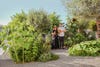 couple standing in yard
