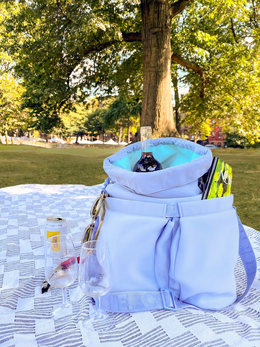 Corkcicle Beverage Bucket Bag in a Park
