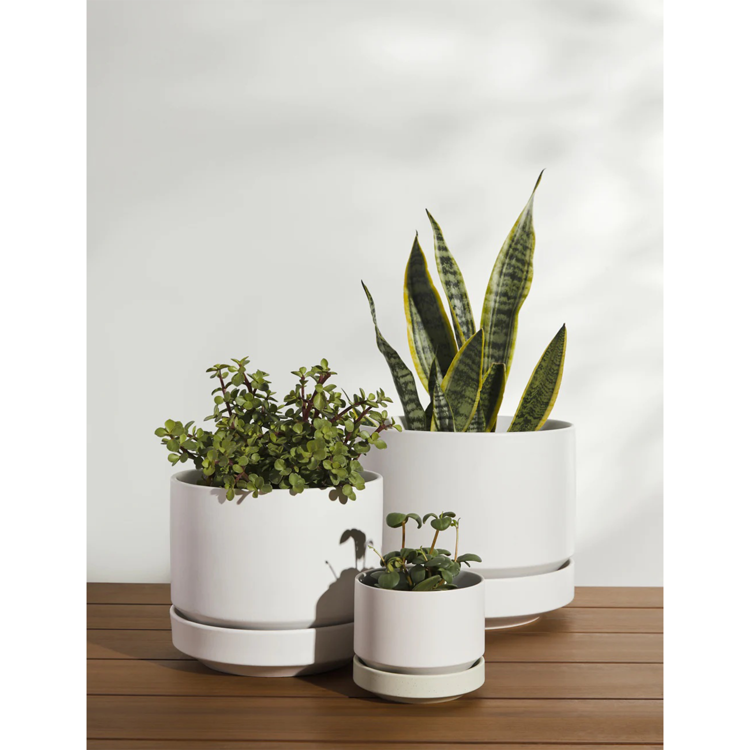 Ceramic Indoor / Outdoor Planter by LBE Design - White / 4" Diameter Ceramic Indoor / Outdoor Planter By LBE Design