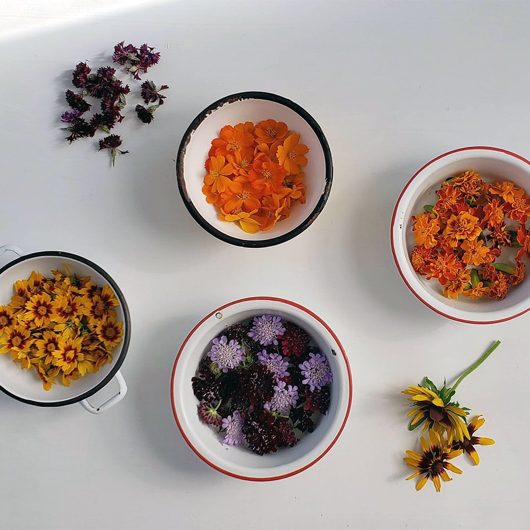colorful flower heads in bowls