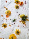 yellow flower heads scattered on fabric