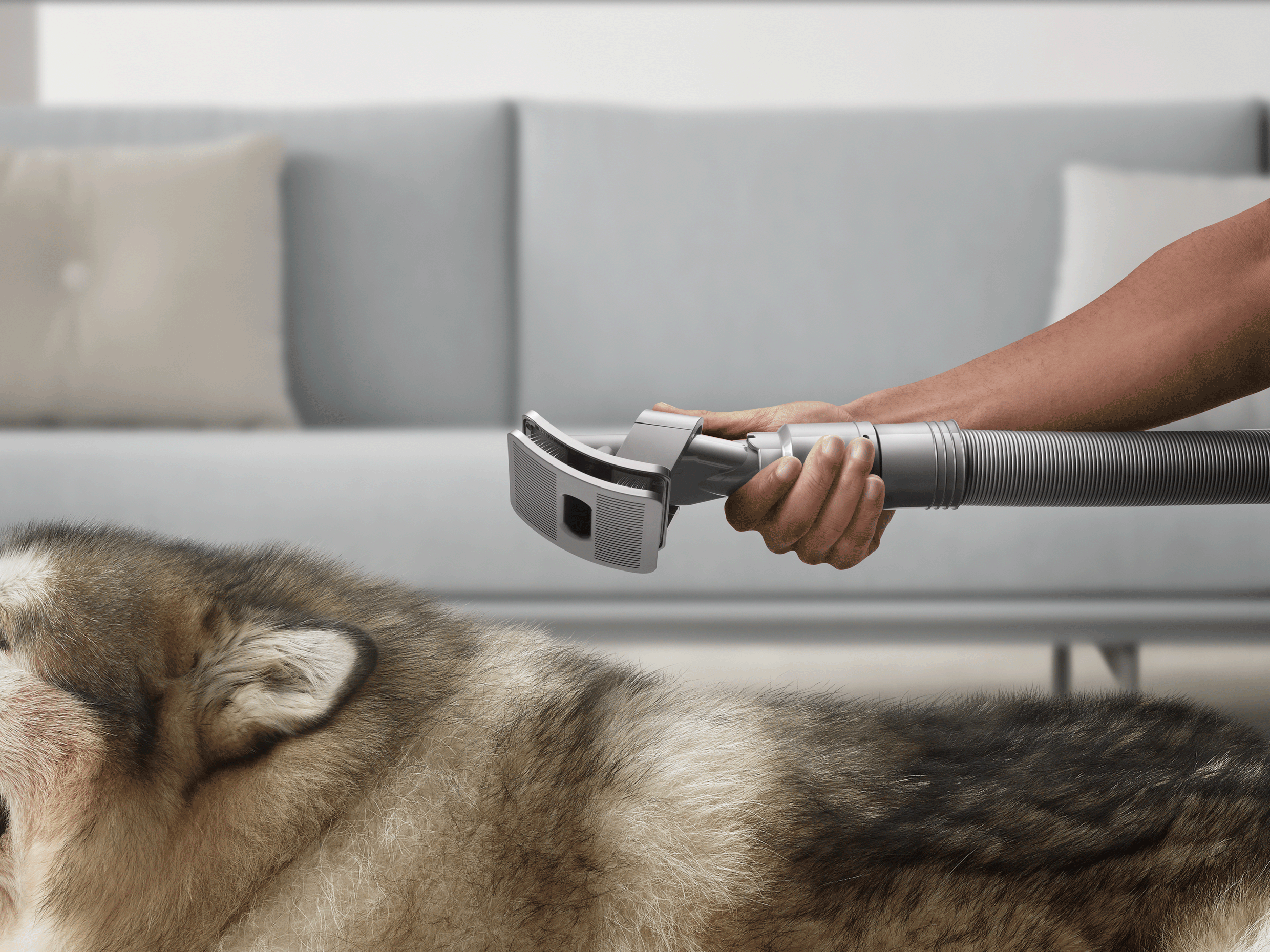 I Tried Dyson’s New Pet Grooming Tool and I Almost Forgot It Was Shedding Season