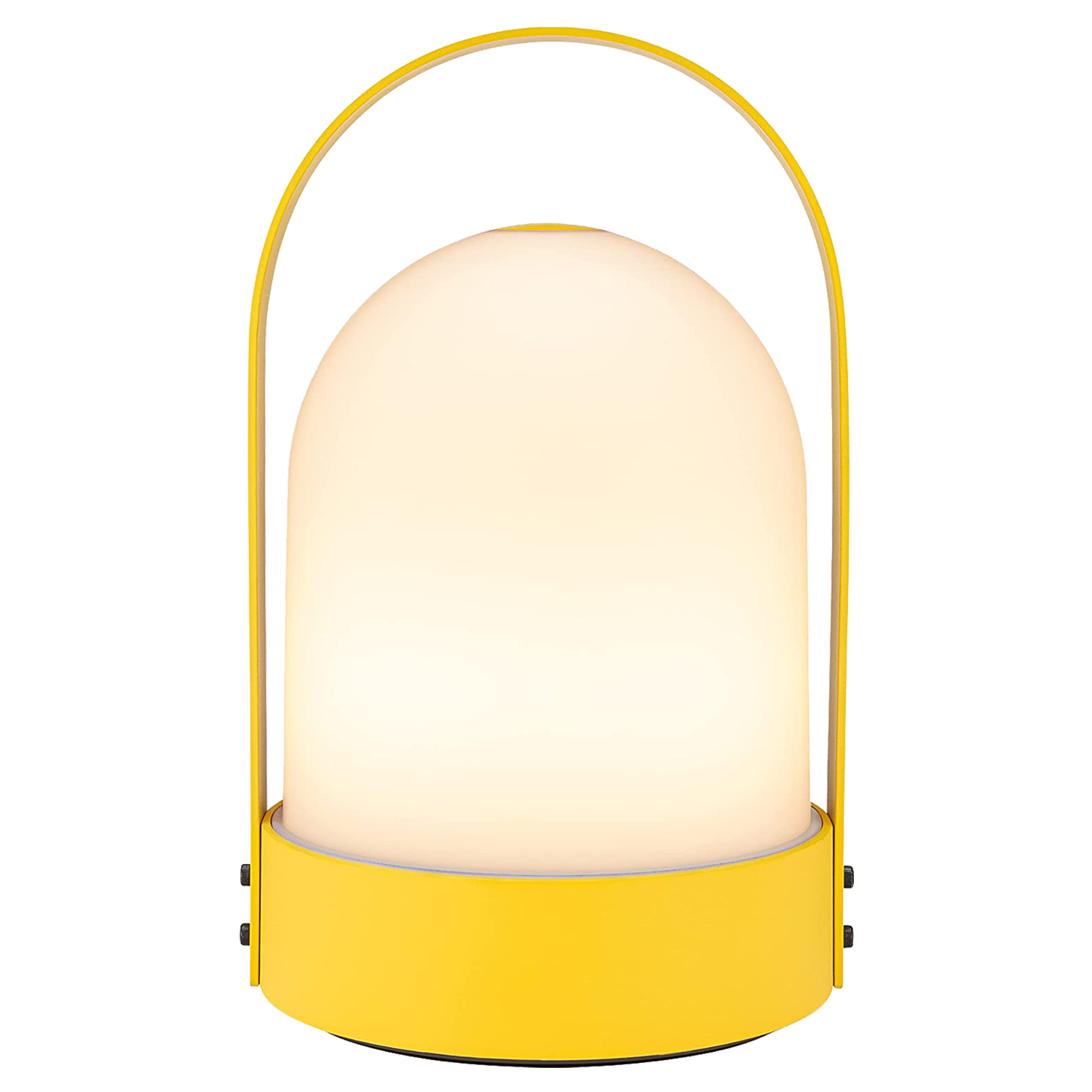 Yellow Amazon Lantern.