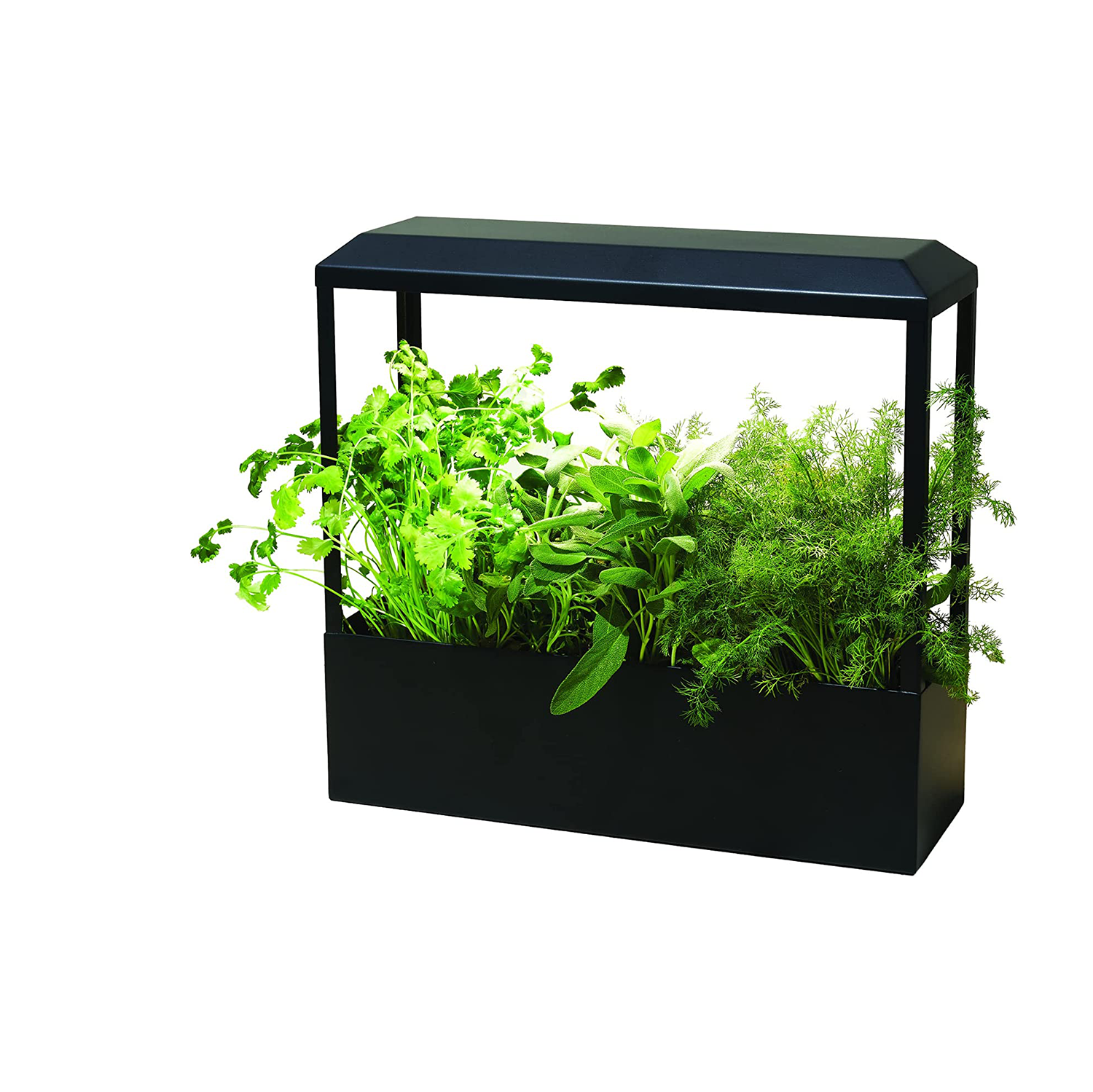 modern sprout smart growhouse amazon
