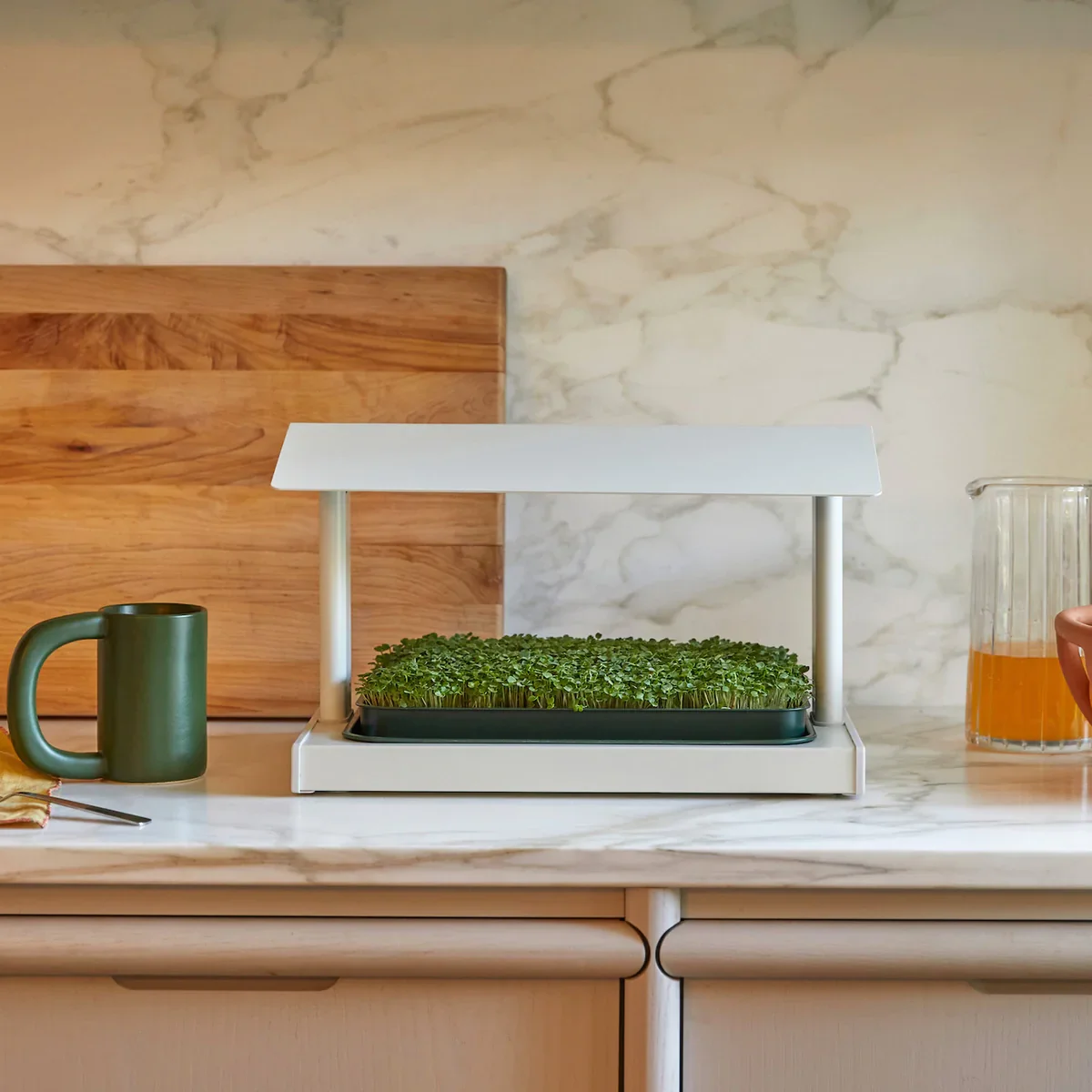 White grow house for microgreens on a kitchen counter in front of a marble backsplash and wooden cutting board.
