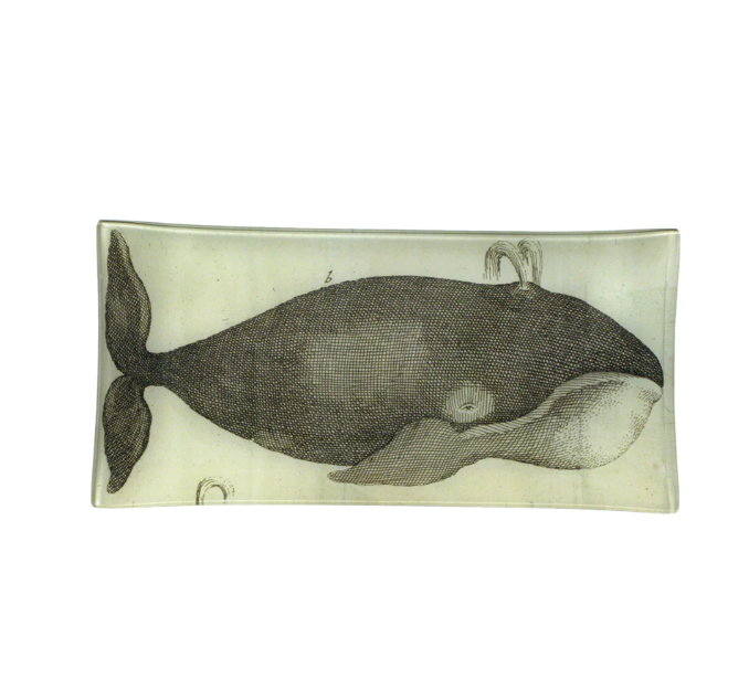 whale tray