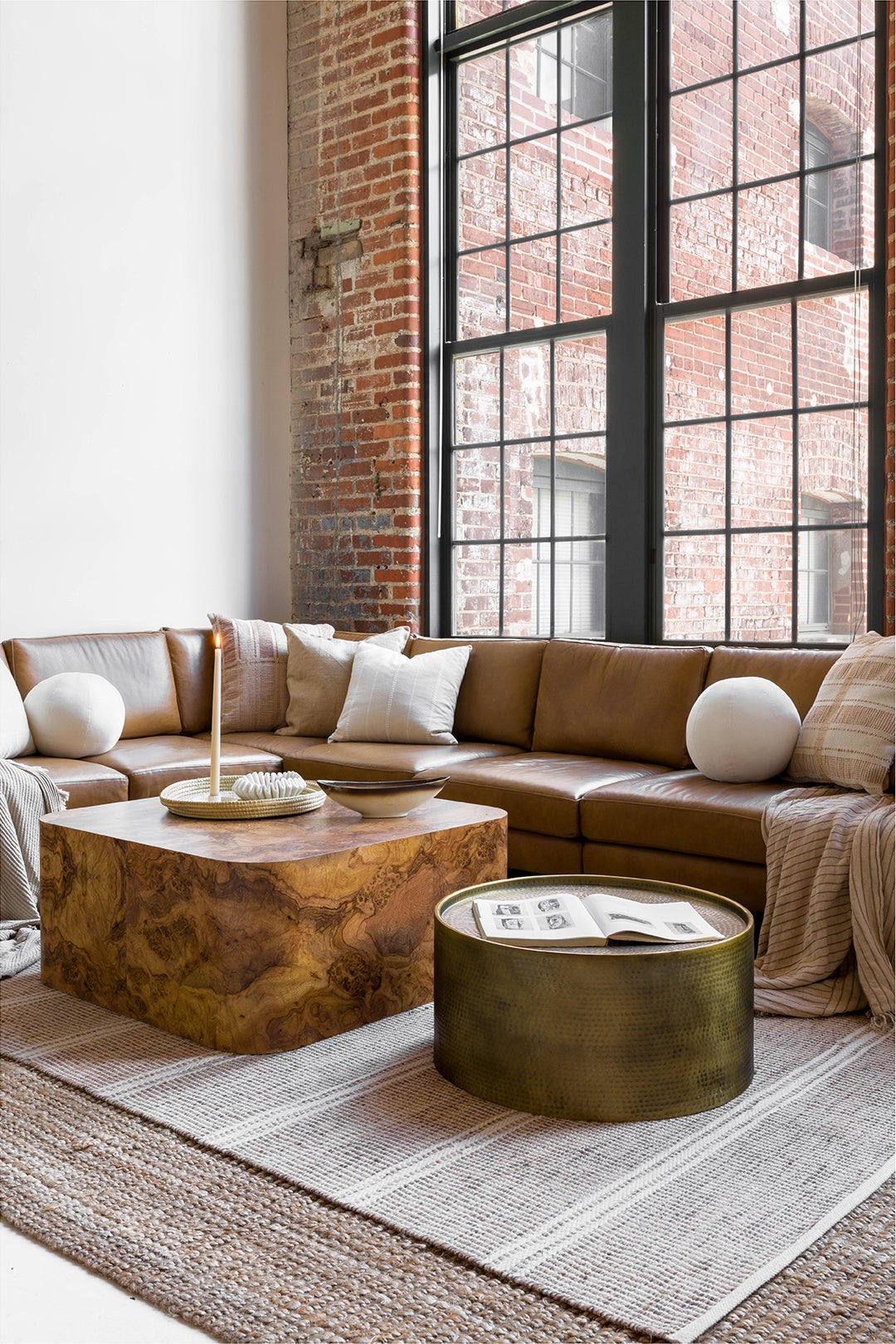 leather living room sofa