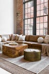 leather living room sofa