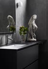 black bathroom vanity with cup of water with plants and headless sculpture