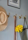 bags and hats hanging on brass hooks