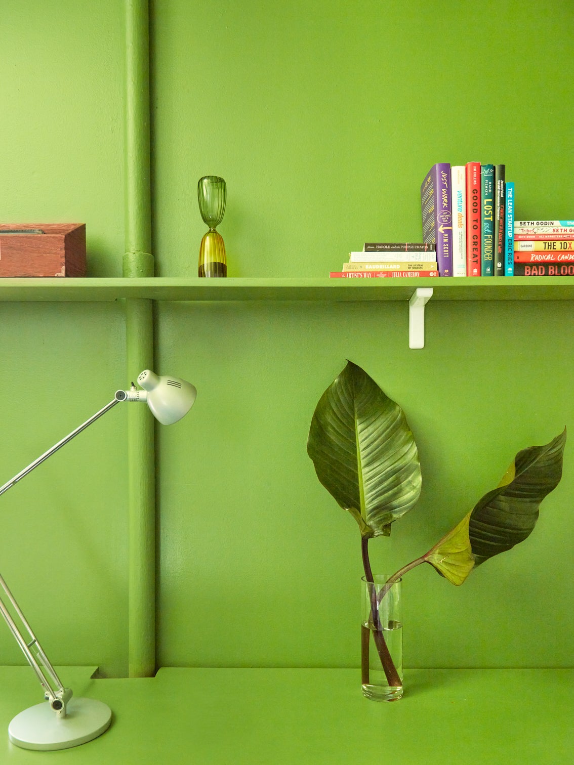 lamp and plant in front of shelf