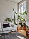 plant filled corner of living room