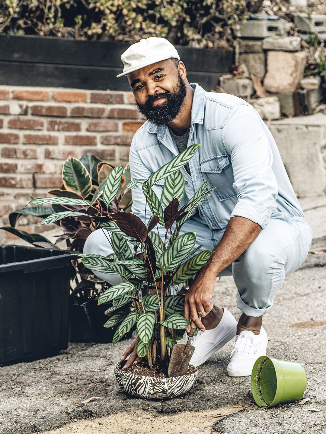 How Hilton Carter Turned a Termite Problem Into a Brilliant Indoor Gardening Moment