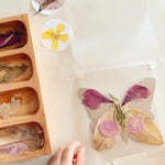 Laminated butterflies with pressed wild flowers