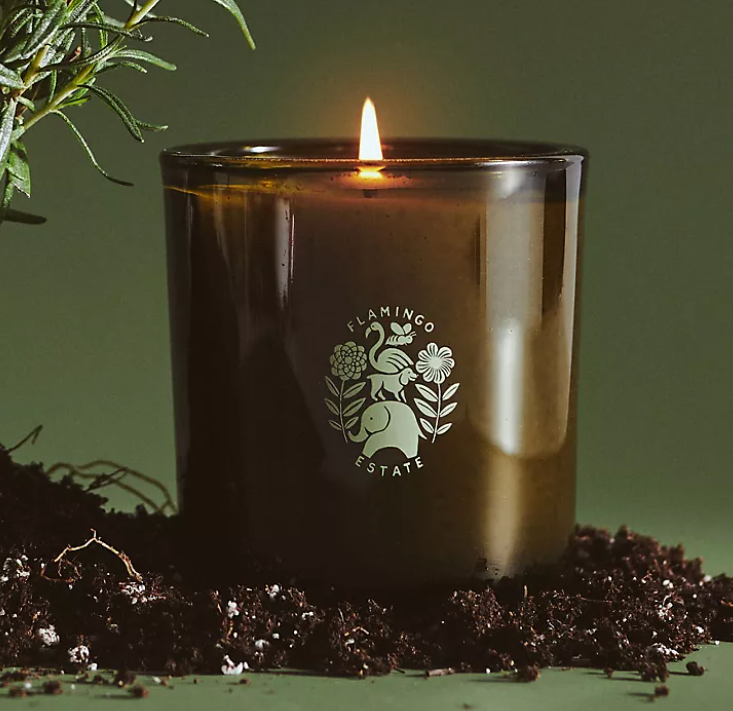 Flamingo Estate candle with rosemary in background