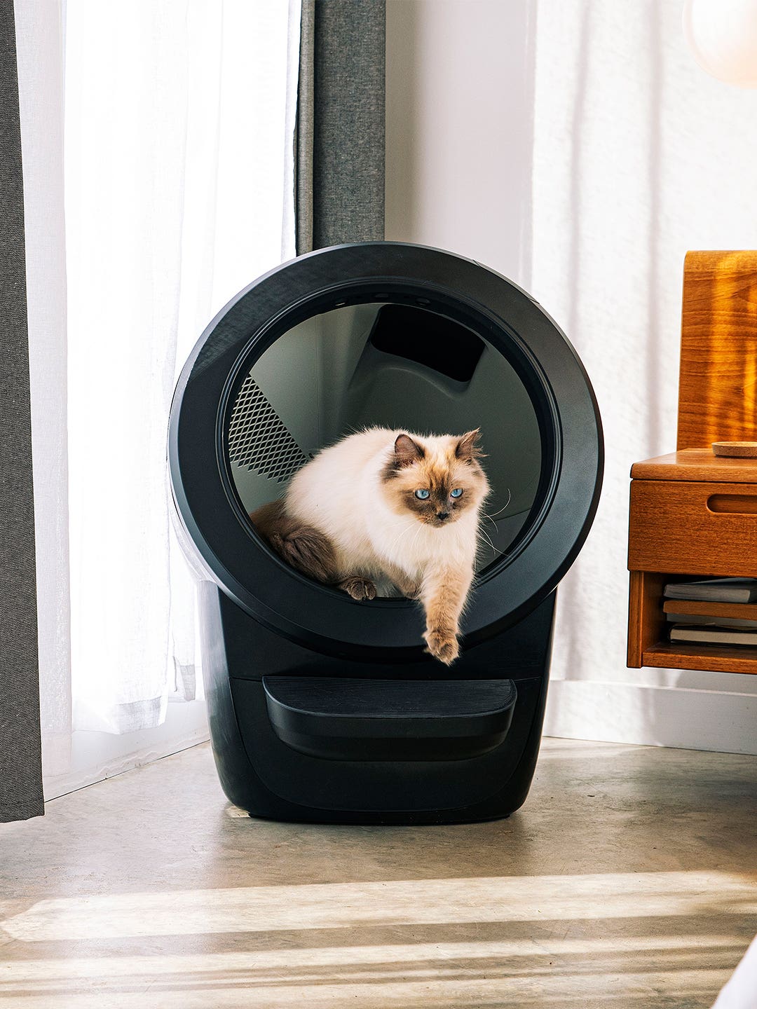 My Self-Cleaning Litter Box Is So Sleek That I Keep It in the Living Room