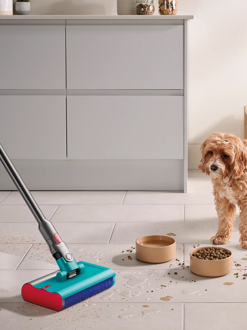 Dyson wet vaccum with a dog