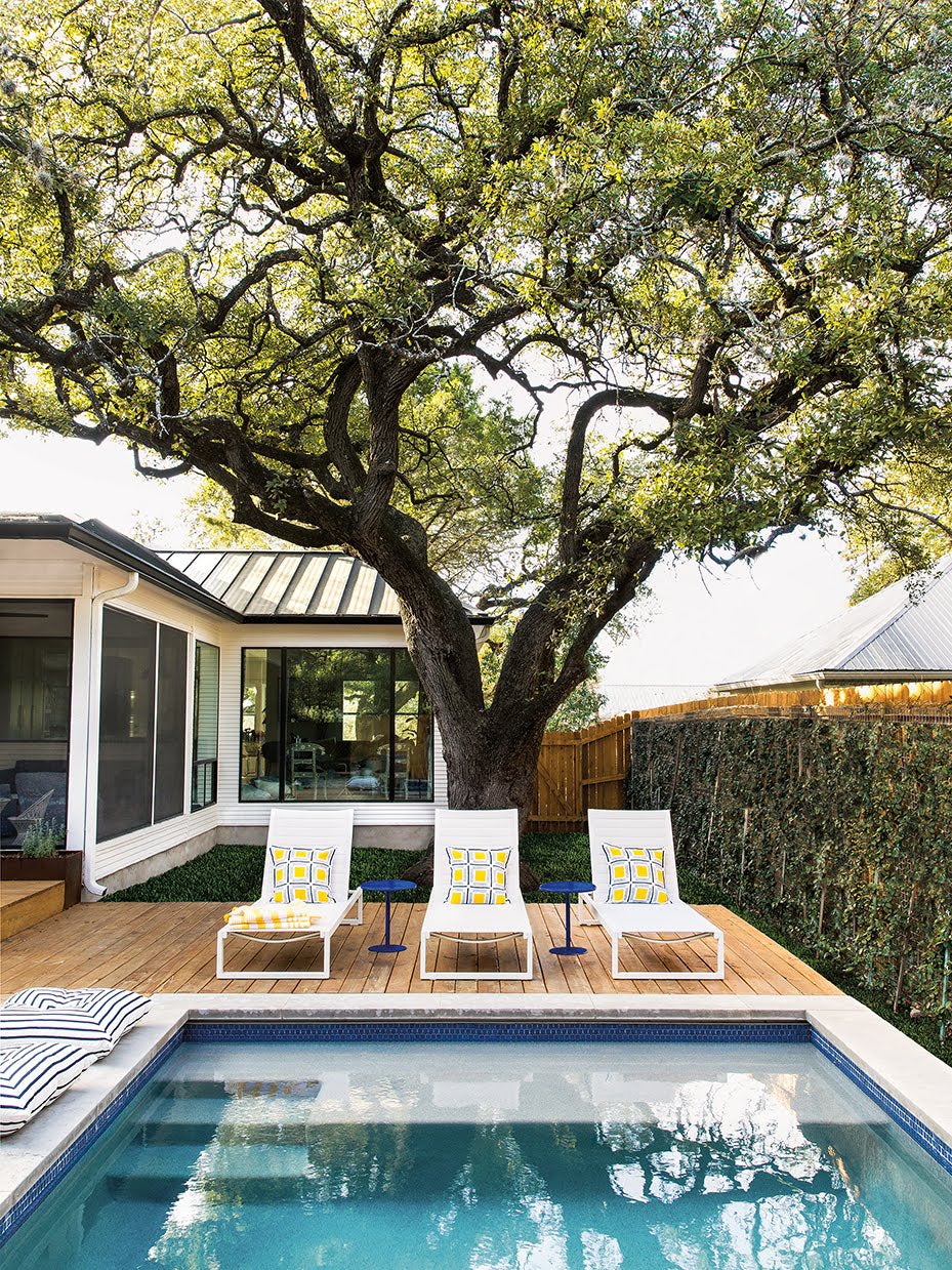 exterior shot of backyard with pool and tree