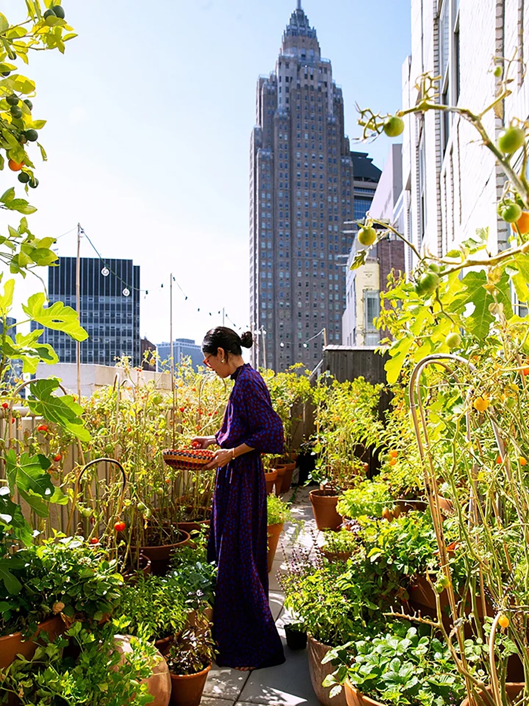 Woman in an outdoor garden on rooftop with skyline in the distance